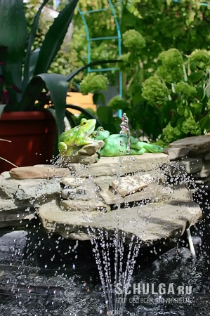Лягушки у фонтана