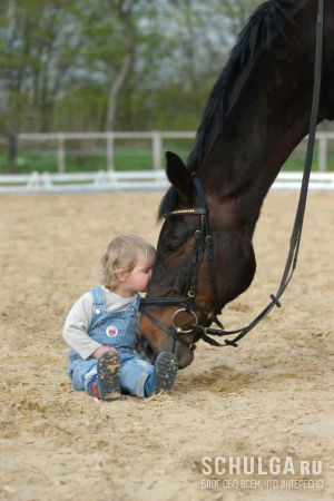 Ребёнок, сидящий на песке, целует лошадь